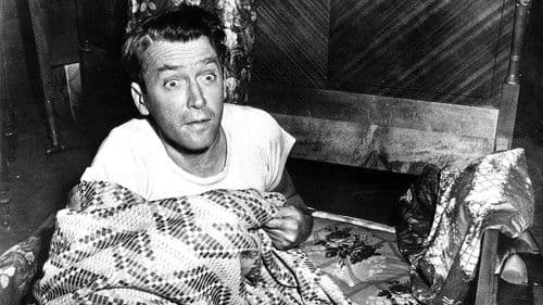 Der geheimnisvolle Ehemann Bild 1