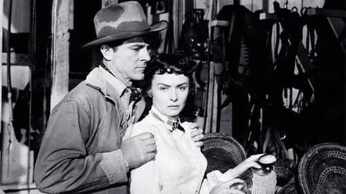 Drei Stunden Zeit Bild 6