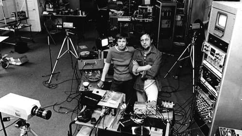 The Vasulka Effect Bild 3