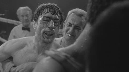 Wie ein wilder Stier Bild 8