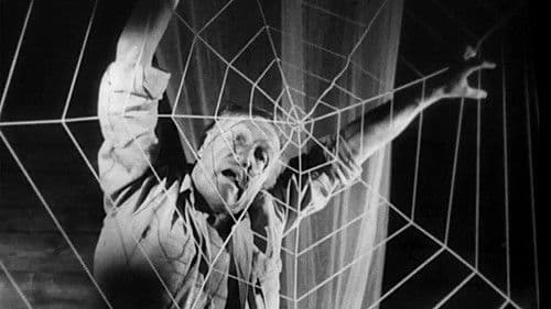 Ein Toter hing im Netz Bild 1