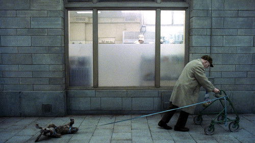 Das jüngste Gewitter Bild 2