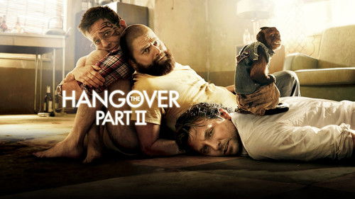 Hangover 2 Bild 3