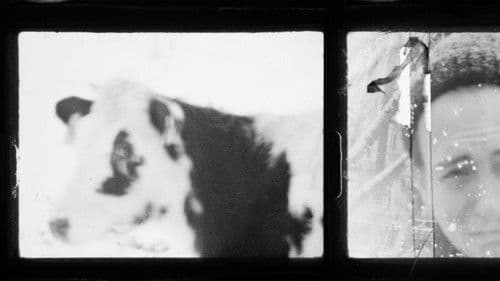 Коровий Вал Bild 1