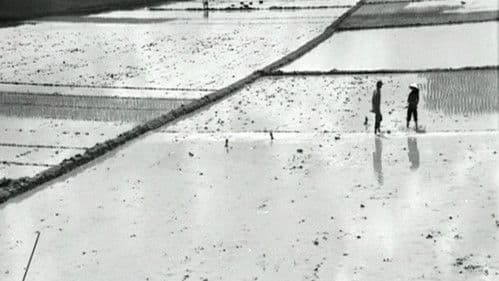 Bao giờ cho đến tháng Mười Bild 6