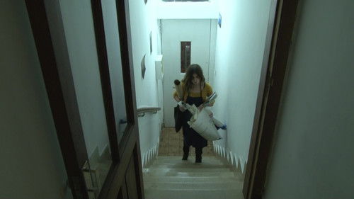 Y Así Empezó Bild 5