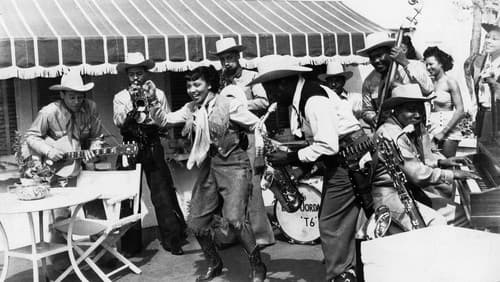 Look-Out Sister Bild 1