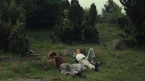 Stín kapradiny Bild 1