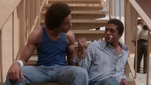 Penitentiary - Hölle hinter Gittern Bild 1