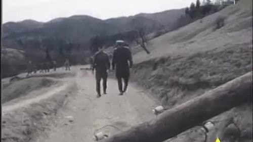 Останній бункер Bild 1