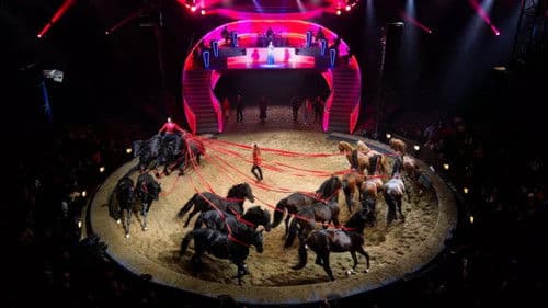 Les Folies Gruss, 50 ans à Paris Bild 6