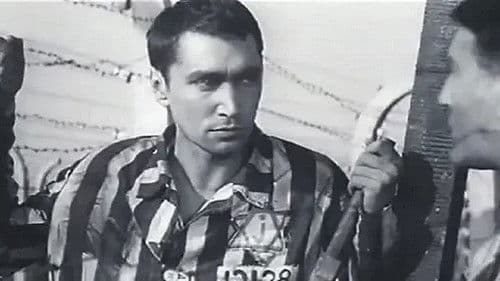 Сыны отечества Bild 1