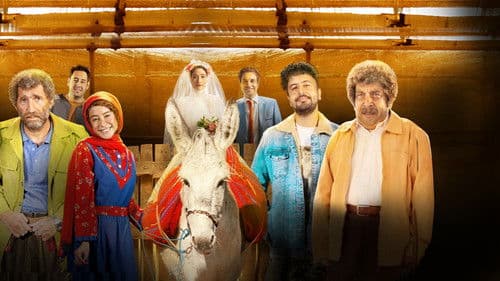 شه سوار Bild 1