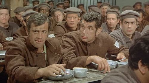 Der Mann aus Marseille Bild 4