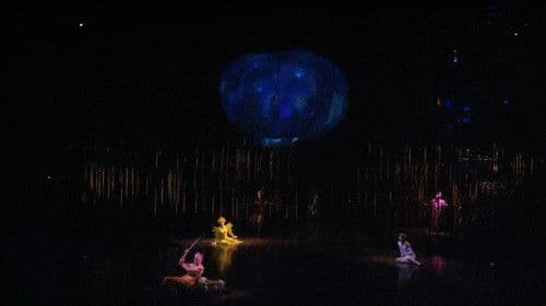 Cirque du Soleil: Varekai Bild 4