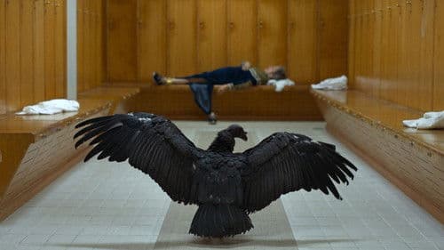 O Clube das Mulheres de Negócios Bild 2