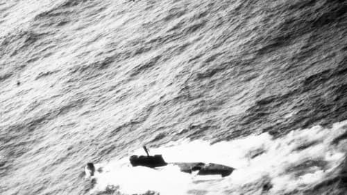 „Varnarliðið“ kaldastríðsútvörður Bild 4