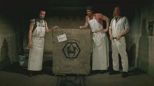 Rare Exports Inc. Bild 2