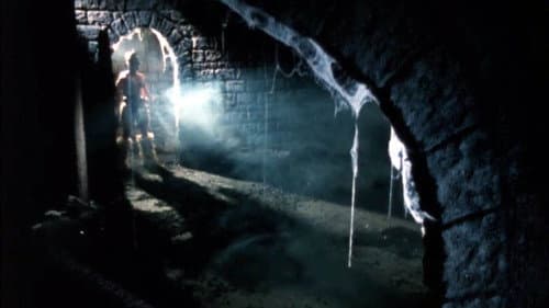 Zyzak Is King Bild 1