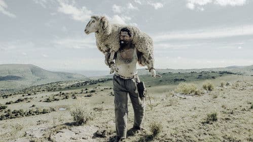 Sew the Winter to My Skin Bild 3