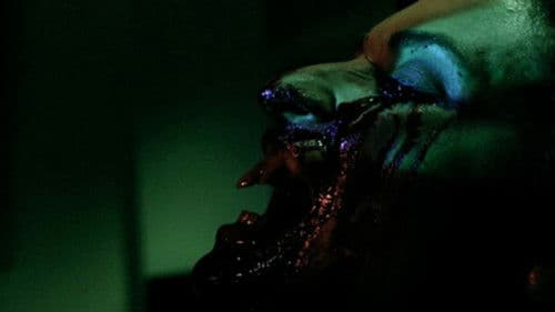 Mulberry Street Bild 3