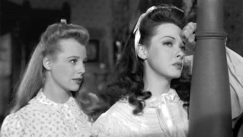 Erfüllte Träume Bild 2