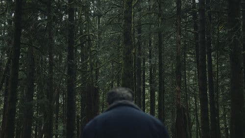 To Kill a Wolf Bild 4