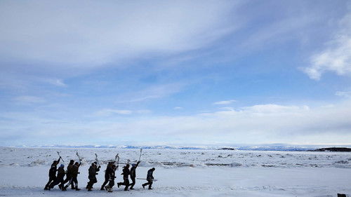 The Grizzlies Bild 1