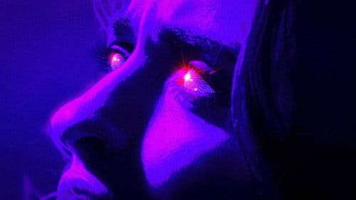 Disco Inferno Bild 2