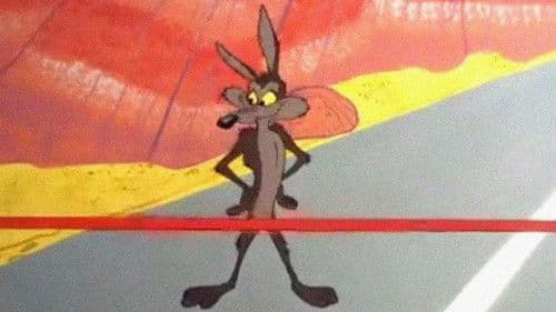 Plattgemacht und durchgeschleudert Bild 1