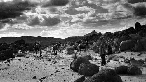 Le Grand Désert Bild 3