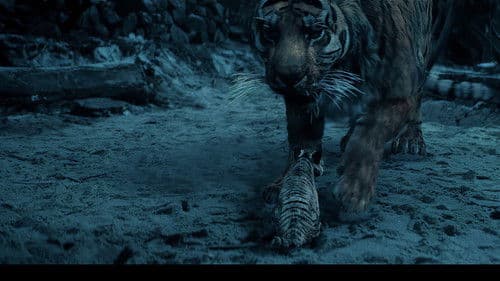 兴安岭猎人传说2轮回森林 Bild 2