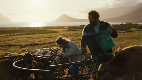 Sommerlicht, und dann kommt die Nacht Bild 2