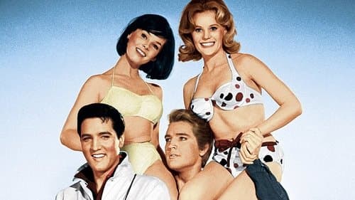 Die wilden Weiber von Tennessee Bild 1