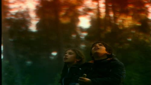 O Território Bild 7