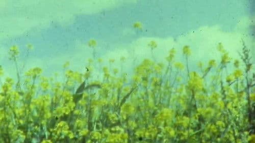 Мої вихідні Bild 7