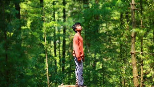 Sound of Silence Bild 6