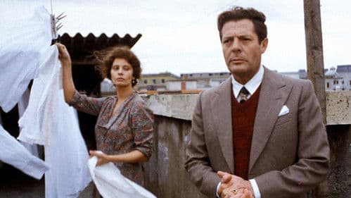 Ein besonderer Tag Bild 7