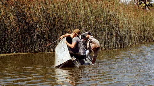 Mega Python vs. Gatoroid Bild 3