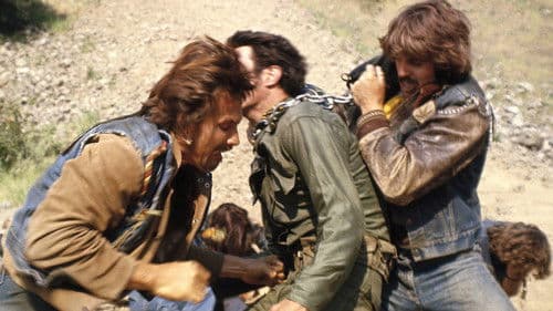 Chrom und heißes Leder Bild 2