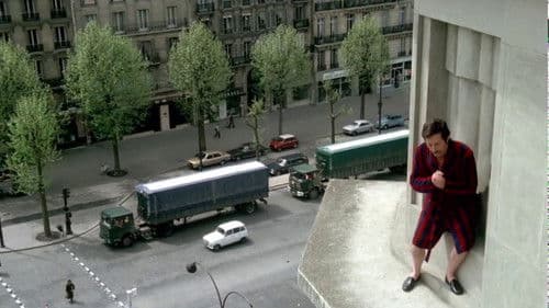 Ein Elefant irrt sich gewaltig Bild 6