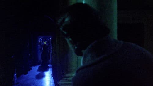 Schatten um Dominique Bild 3