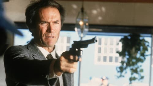 Dirty Harry kommt zurück Bild 7