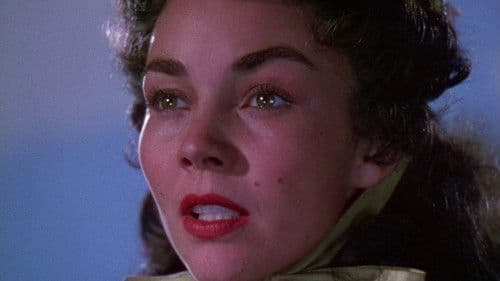 Die schwarze Füchsin Bild 4