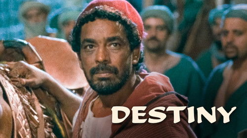 Das Schicksal Bild 8