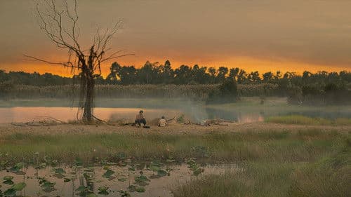 Đất Rừng Phương Nam Bild 7