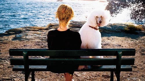 Endlich Witwe Bild 5