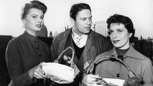 Im Zeichen der Venus Bild 2