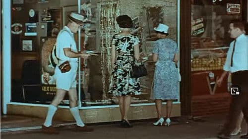 Life in Australia: Wagga Wagga Bild 1