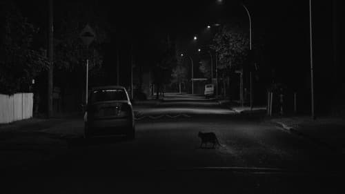 Night Ride Bild 3